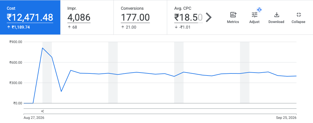 Binsar Farms Google Ads one-month performance report